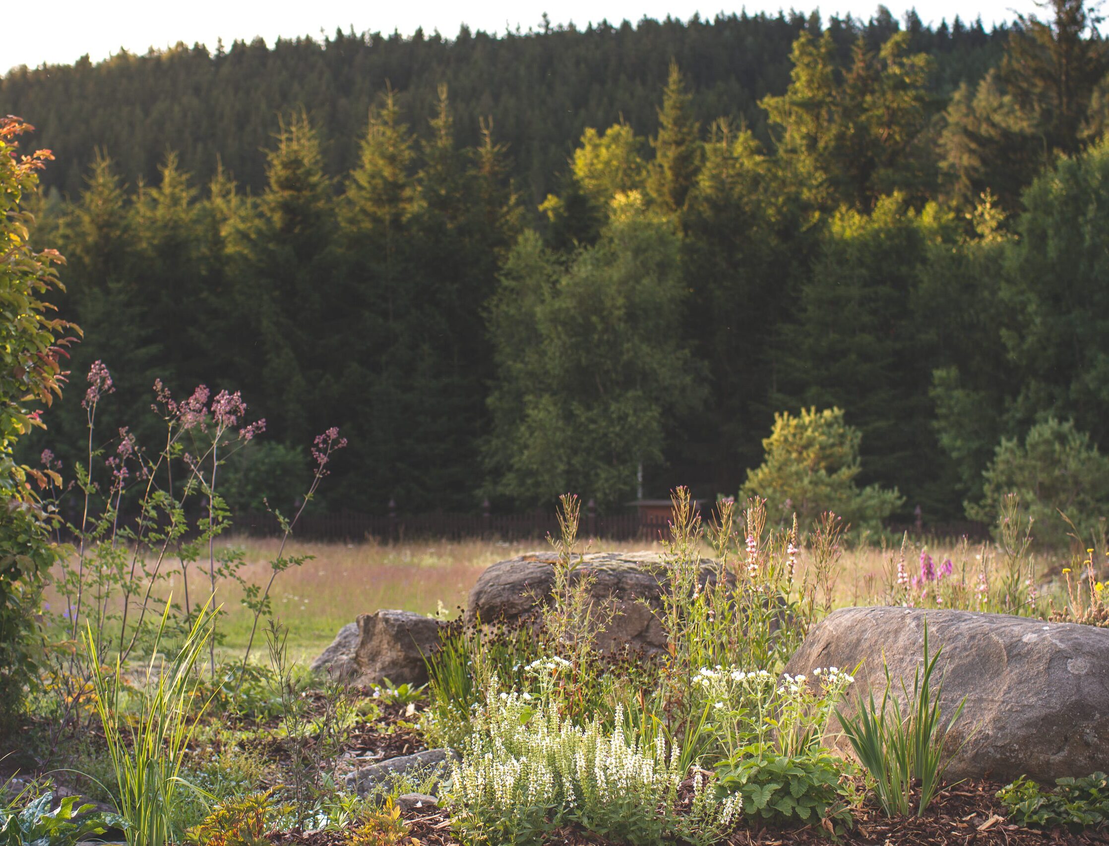 Krajinářské projekty a zahradní návrhy Ateliéru Za Mák