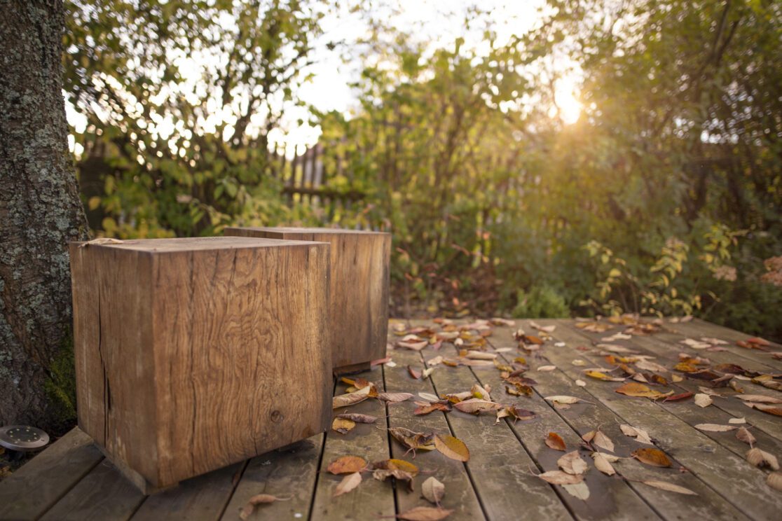 dřevěná terasa a dubové kostky v umělecké zahradě