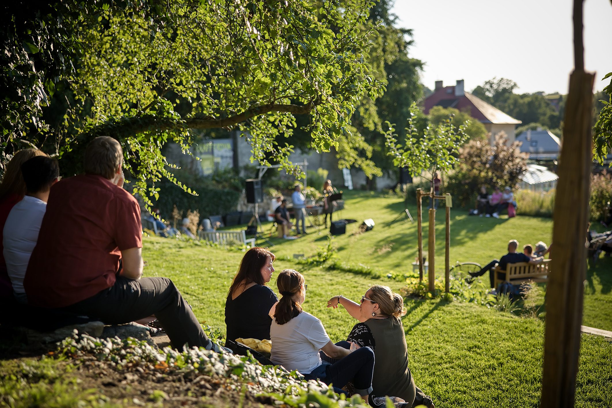 návrhy zahrad návrhy zahrad